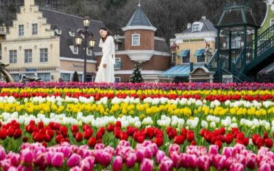 Lễ hội hoa tulip Everland & điểm du lịch mùa xuân 2021