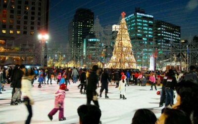 Một ngày vui như tuyết ở Seoul: Đi xe trượt tuyết & Trượt băng